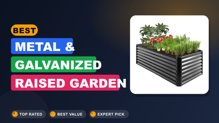 Best Metal & Galvanized Raised Garden Beds