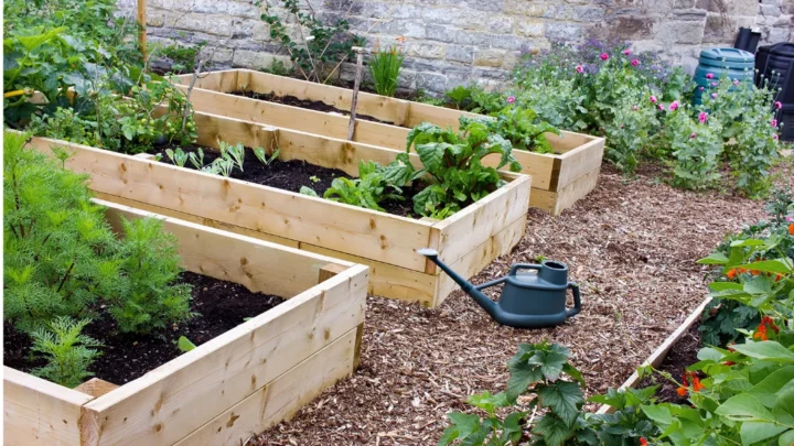Raised Bed Gardening for Beginners: How to Start