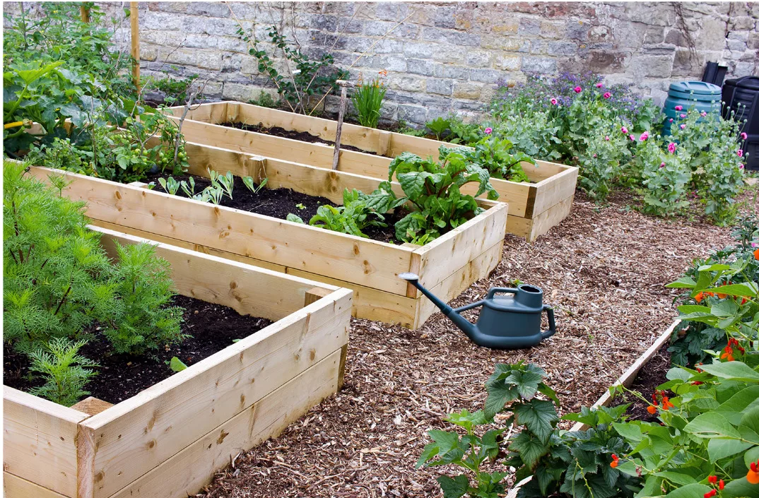 Raised Bed Gardening for Beginners: How to Start