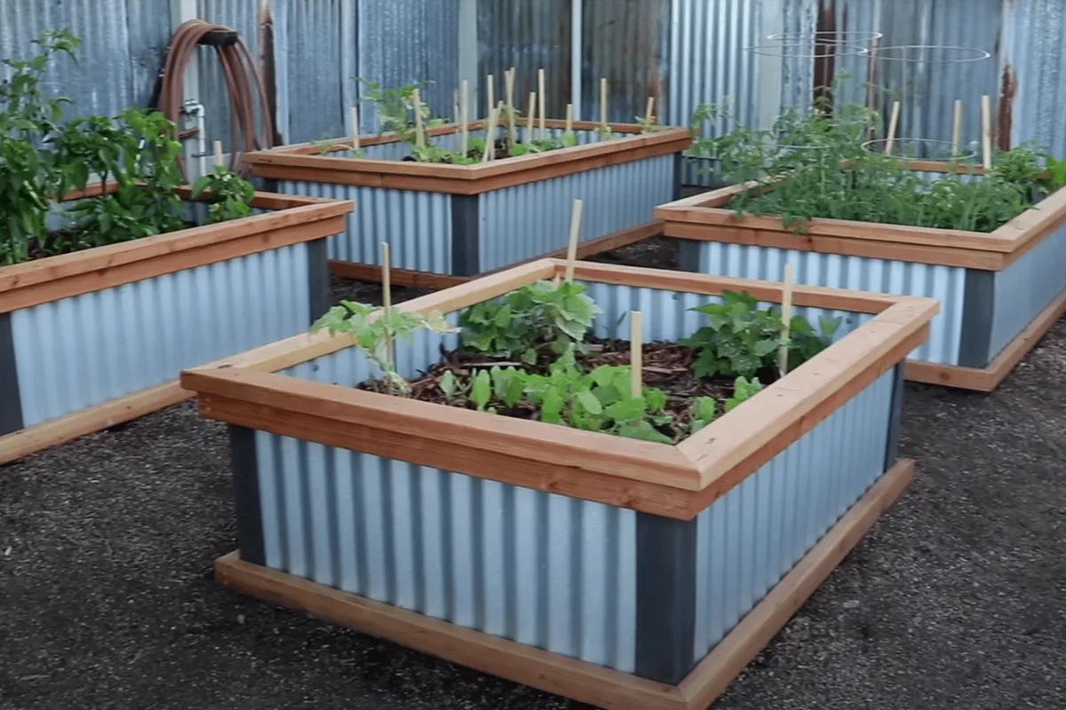 Best Material for Raised Beds: Metal vs Wood vs Plastic